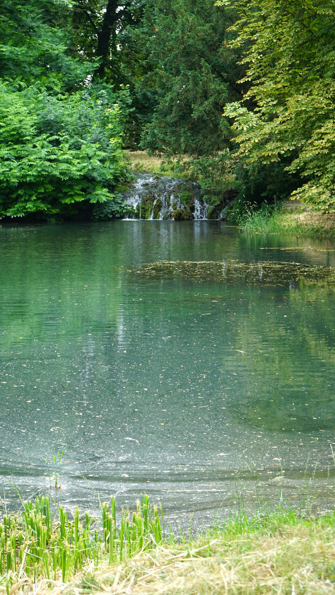 Wie es sich für einen Park gehört, gibt es hier auch einen Teich.