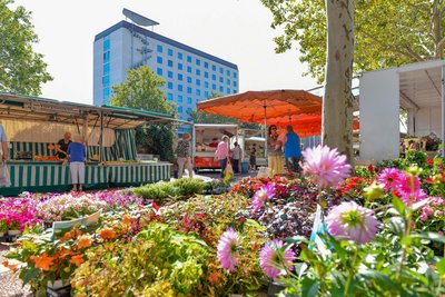 Man blickt über die Auslage eines Blumenstandes auf den Wochenmarkt in der Wolfsburger Innenstadt
