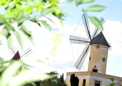 Das Internationale Wind- und Wassermühlenmuseum Gifhorn