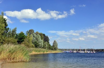 Man blickt vom Ufer des Tankumsees auf Segelboote