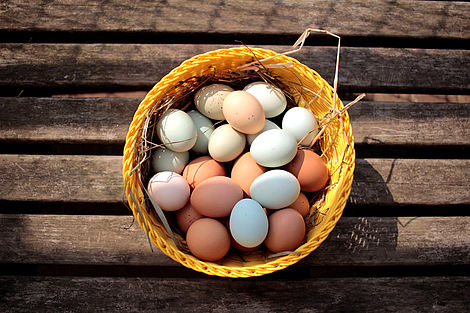 Korb mit den unterschiedlichen Eier-Sorten