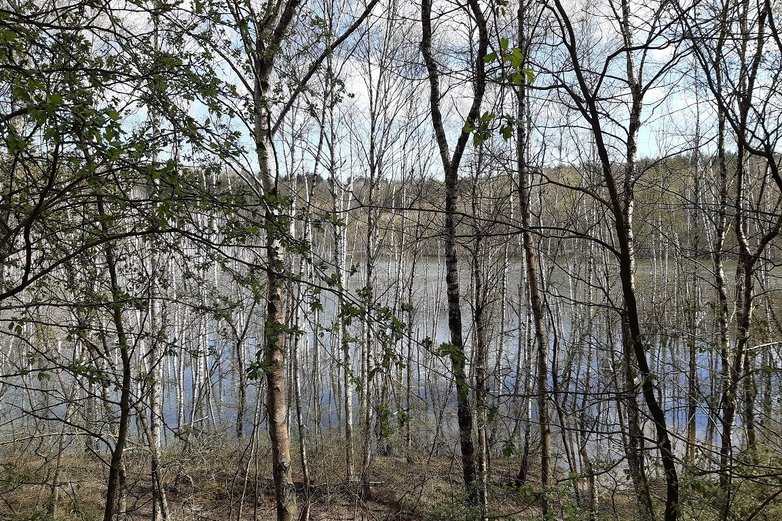 Wulfersdorfer Weiher Büddenstedt