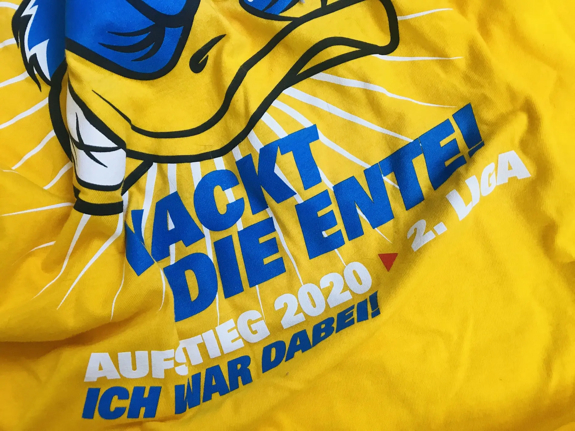 Eine blaugelbe Eintracht-Fahne