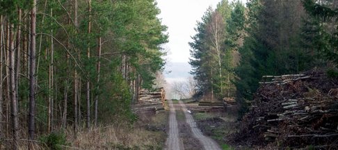 Kolonenweg_web