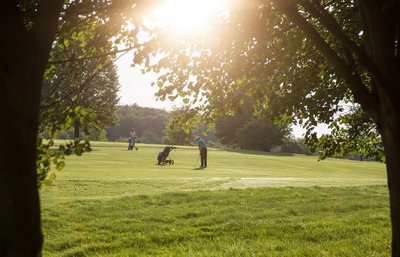 Zwei Bäume rahmen den Blick auf zwei Golfer auf der Rasenfläche des Golfkurses.