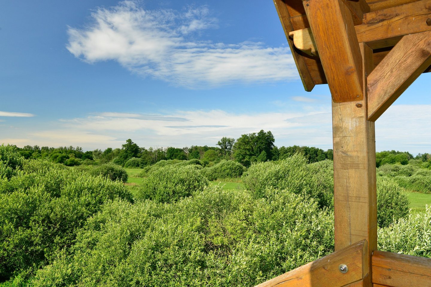 Man blickt von einer hölzernen Aussichtsplattform auf die Niederungslandschaft des Drömling im Landkreis Gifhorn 