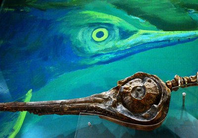 Fische und Krebsartige Tiere unter Wasser 