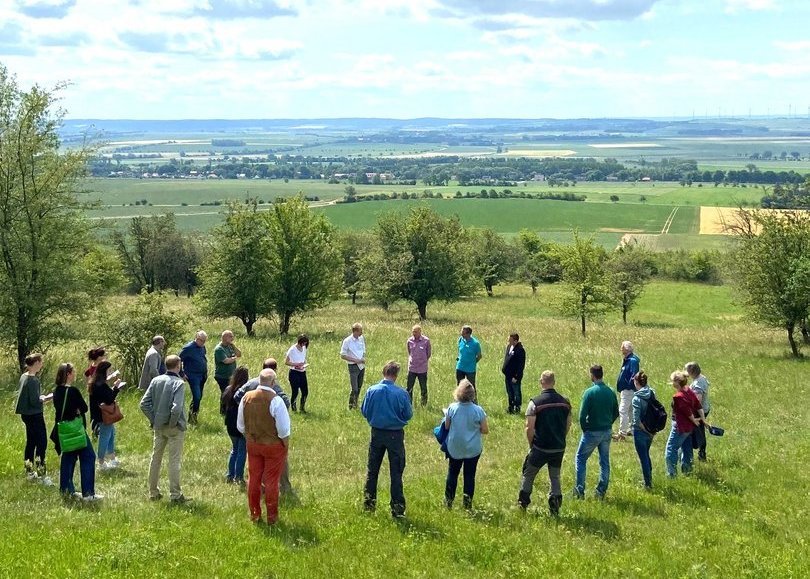 Netzwerk: Verbundprojekt "Blau-Grüne Infrastruktur"