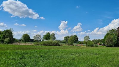 Man blickt über eine Weidelandschaft mit vereinzelten Bäumen unter einem leichtbewölkten Himmel.