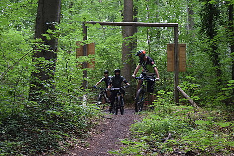 Mountainbiker im Wald.