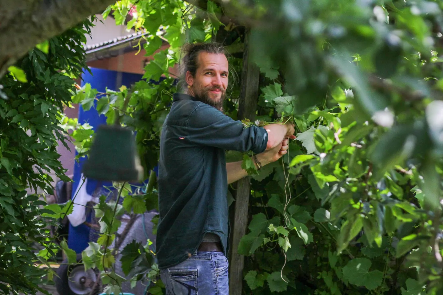 Timo steht neben seinem Weinstock im Schrebergarten.