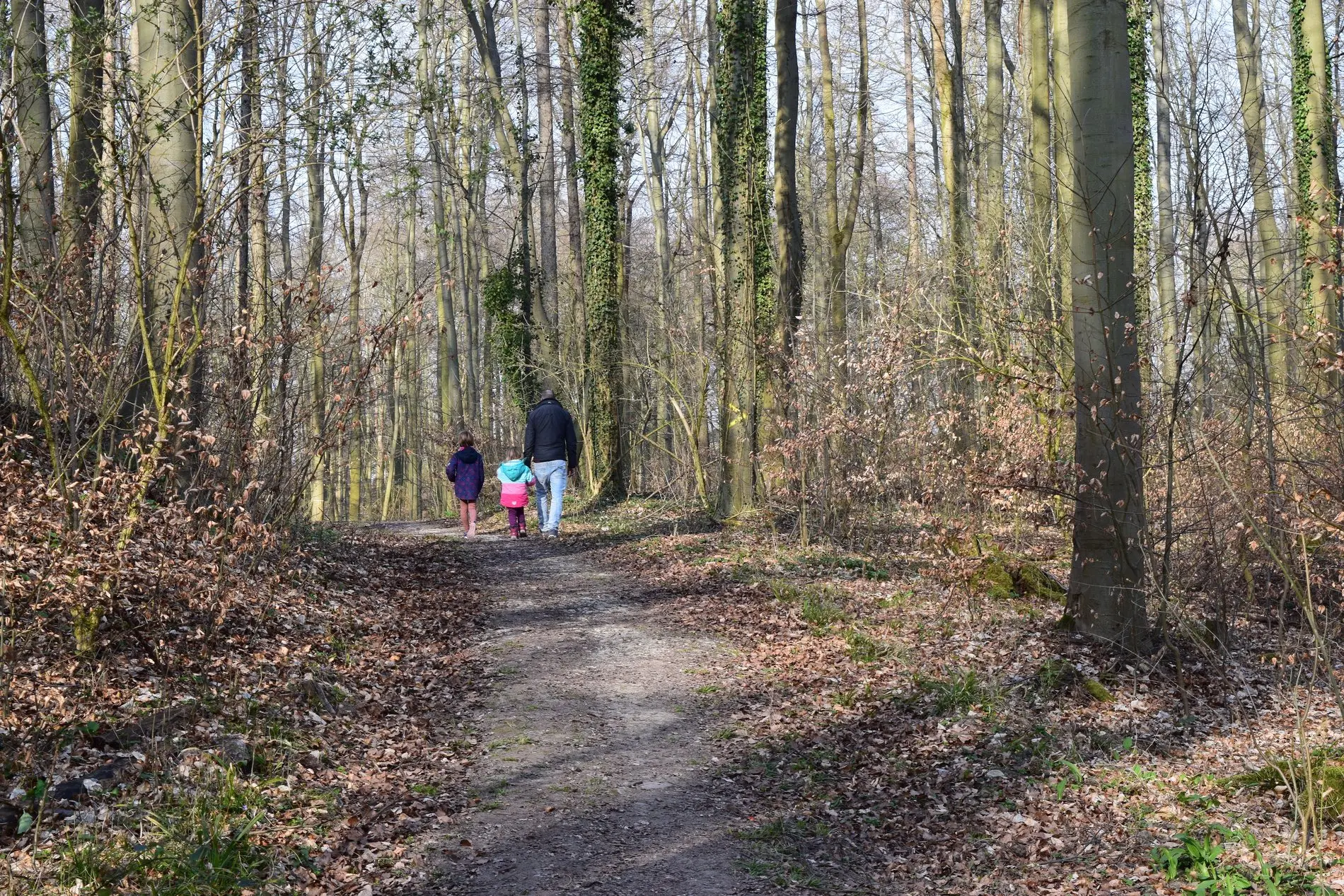 Ein Waldweg bei Salzgitter-Lichtenberg. Vater und Kind wandern in einiger Entfernung.