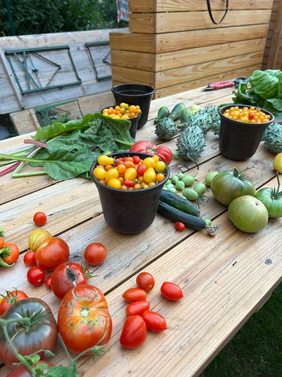 Nachhaltig angebautes Gemüse.