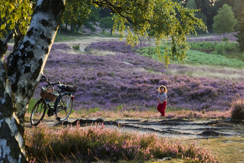 Fahrradfahrer pausiert am Wegesrand in der Heide