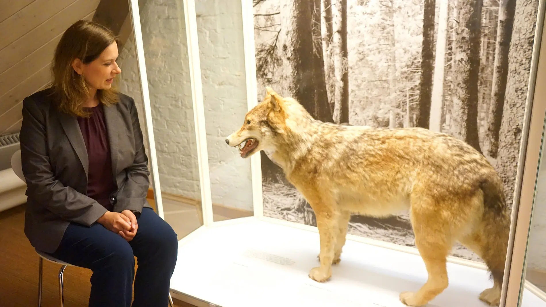 Museumsleiterin Birthe Lehnberg in Zwiesprache mit dem Wolf. 