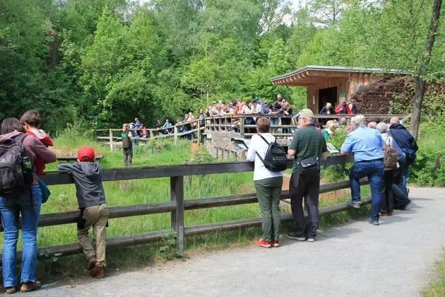 Im Otterzentrum haben die Gäste immer einen guten Blick in die Gehege