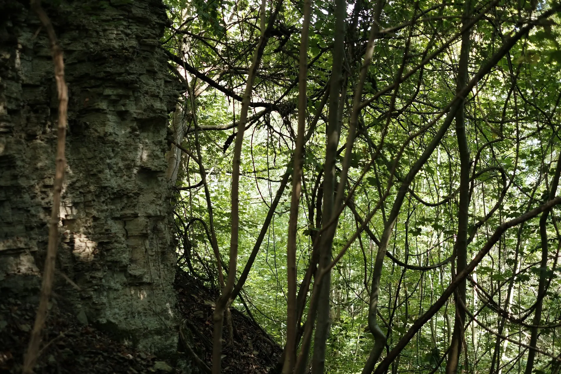 Abenteuerlich ist der Steinbruch Destedt.