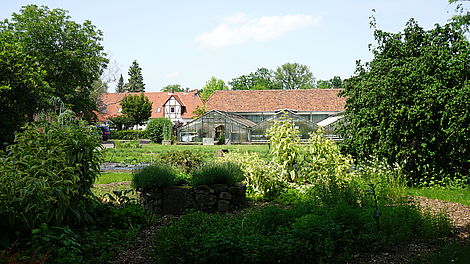 Blick auf die Beliebte Location für den Sektempfang nach der Trauung: die Klostergärtnerei