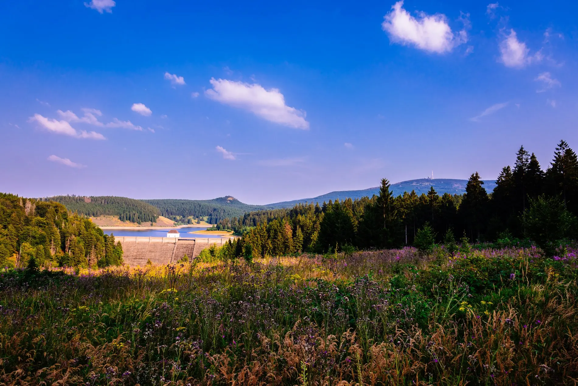Wald, Wiesen, ein Stausee und im Hintergrund der Brocken.