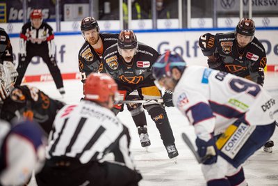 Man blickt auf eine Spielszene eines Eishockeyspiels der Grizzlys Wolfsburg.