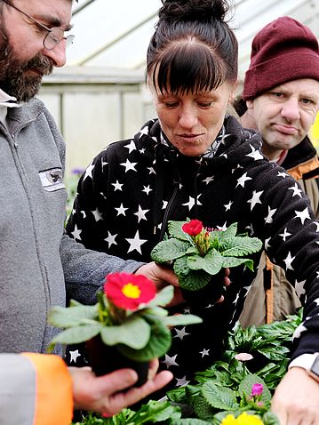 Mitarbeiter und Bewohner der Gärtnerei der Stiftung Neuerkerode begutachten Stiefmütterchen.