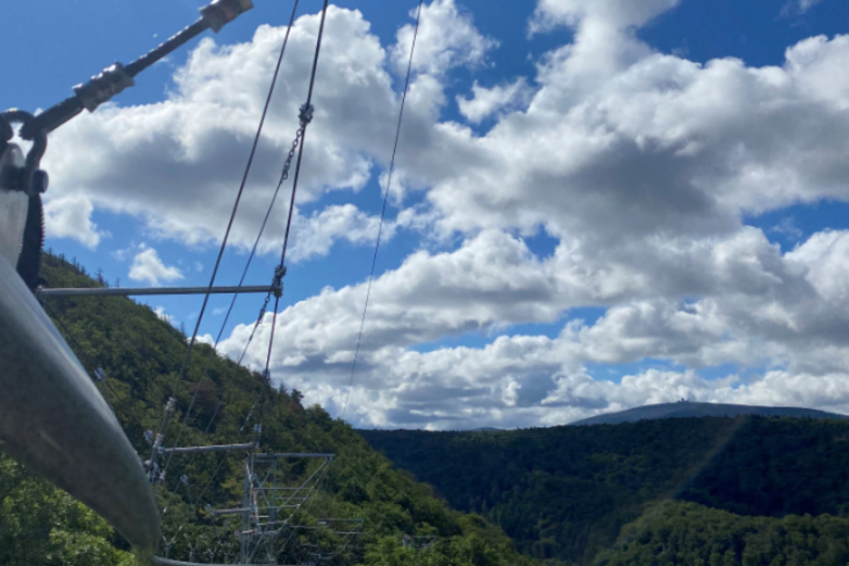 Blick über grüne Bergwälder im Harz.