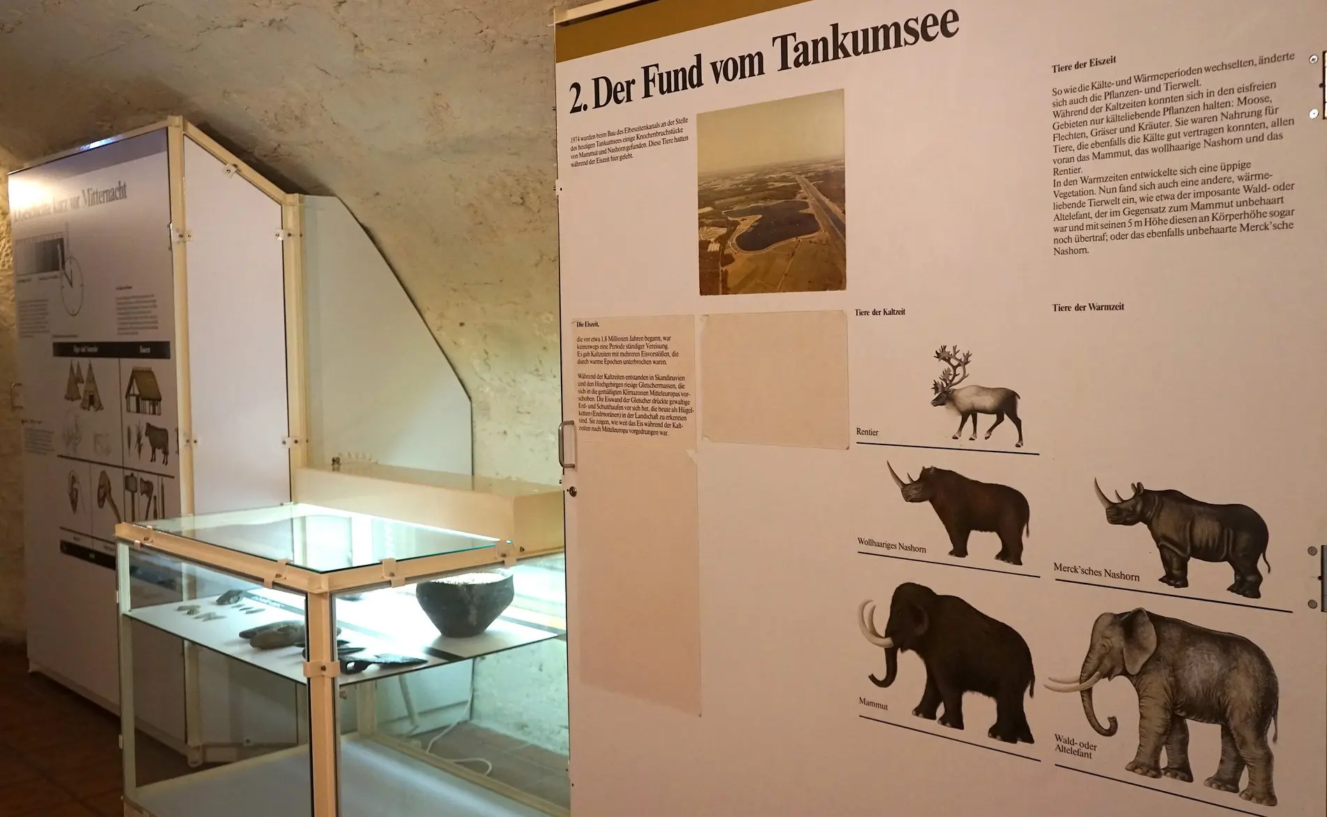 Diese Tiere haben während der Steinzeit in der Gegend um Gifhorn gelebt.