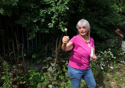 Sommerliche Kräuterwanderung mit Gisela Stöckmann