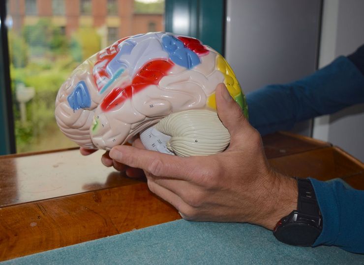 Was bei optimistischen Personen im Gehirn passiert, lässt sich neurowissenschaftlich erklären.