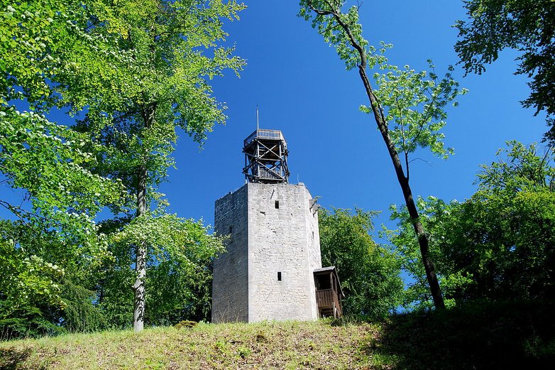Die Burg Lichtenberg.