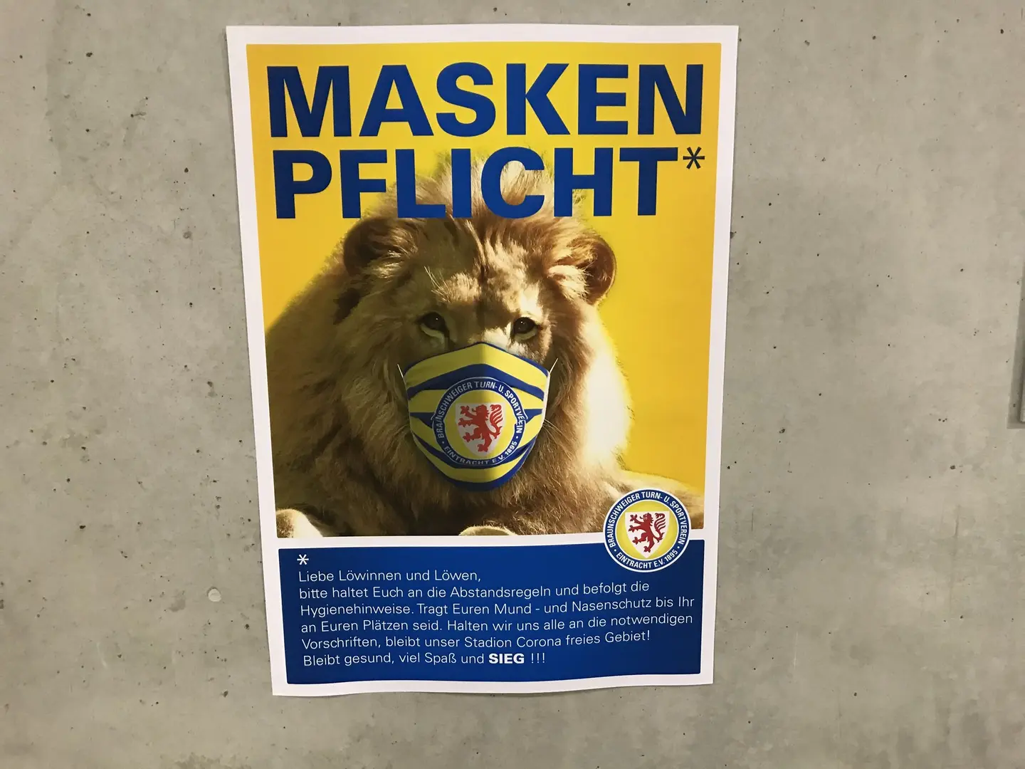 Ein Bild mit einem Löwen, der einen Mundschutz trägt.