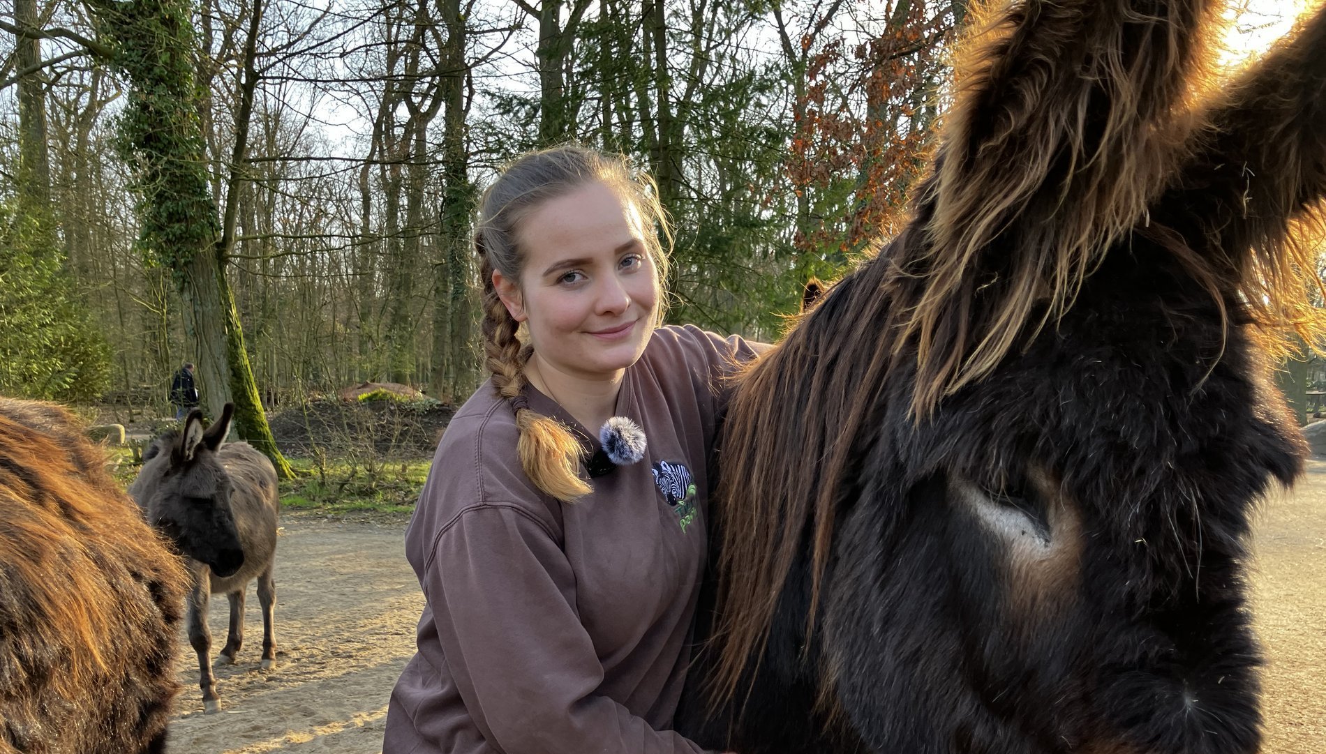 Tierzucht für mehr Nachhaltigkeit: Eine junge Frau legt einen Arm um den Kopf eines Zamorano-Esels.