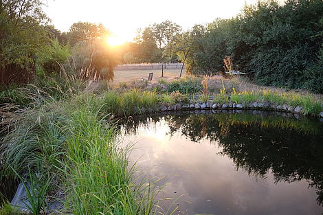 Teich in der Gartenanlage des Seminarhofs Plockhorst.