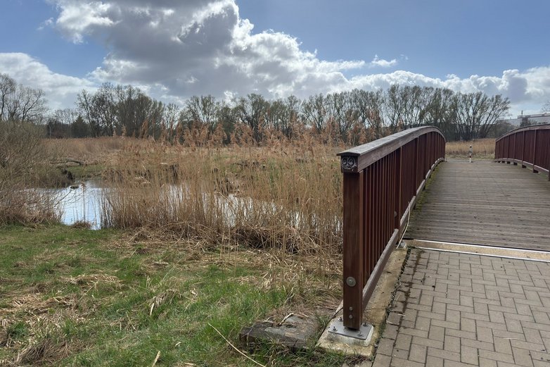Der Mensch kann die Renaturierung an der Schunter direkt erleben.