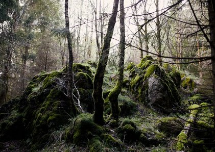 Geheimer Wandertipp im Harz