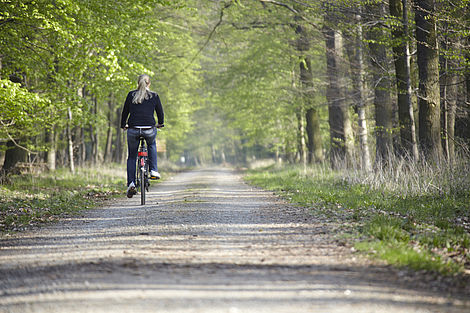 Eine Frau fährt in einer Waldalle im Landkreis Peine Fahrrad
