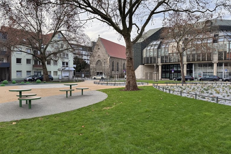 Viel Grünfläche im Pocketpark Kannengießerstraße in Braunschweig.