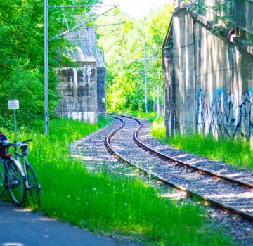 Das Ringgleis: Natur trifft Bahn. (Bildrechte: Inga Stang)