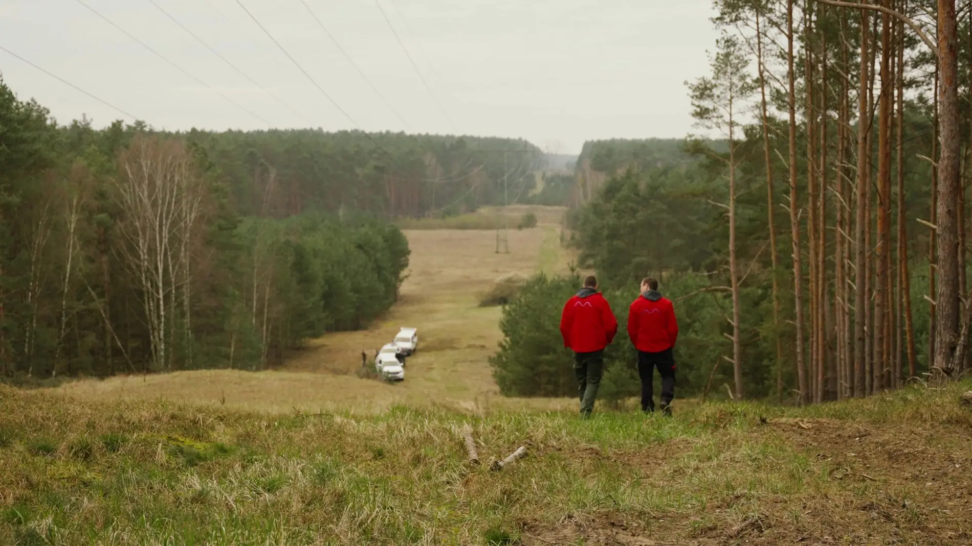 Nachhaltigkeit bei Avacon: Ökologisches Trassenmanagement als Beispiel