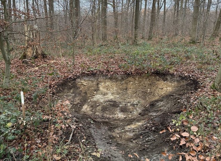 Die Wegeseitentümpel dienen dem Wasserückhalt im Wald.