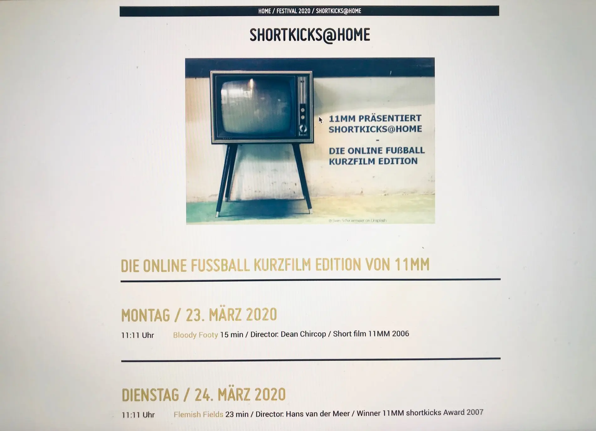 Screenshot einer Website, zu sehen ist ein alter Fernseher.