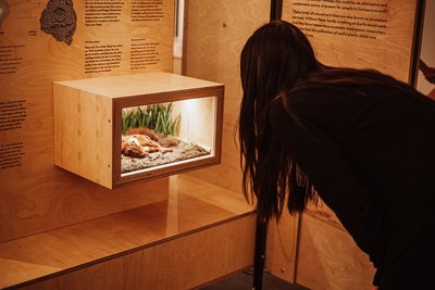 Insekten bei der Arbeit – ebenfalls ein Thema der Sonderausstellung.