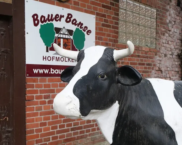 Kuh vor Bauer Banses Eingang
