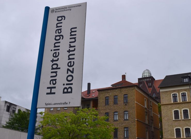 Professor Martin Korte forscht am Institut für Zell- und Neurobiologie (IZN), im Biozentrum der TU Braunschweig.