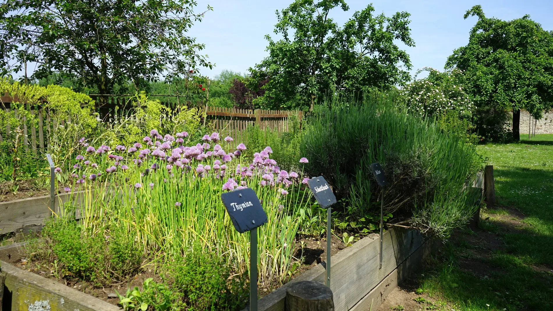 Man sieht Kräuterhochbeete im Klostergarten