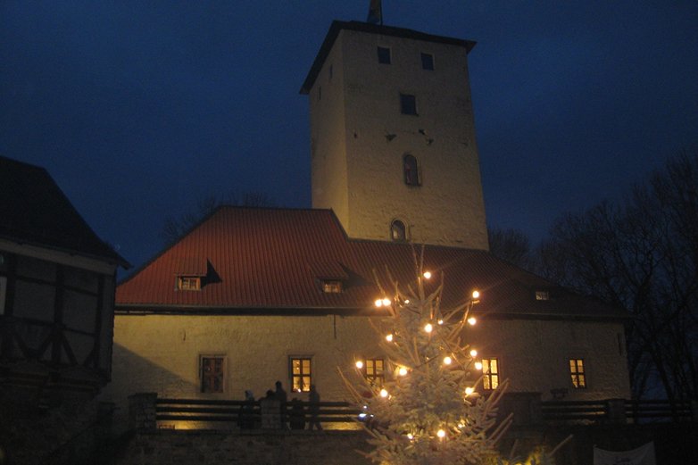 beleuchteter Tannenbaum vor Burg bei Nacht
