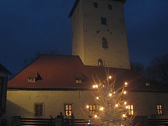 beleuchteter Tannenbaum vor Burg bei Nacht