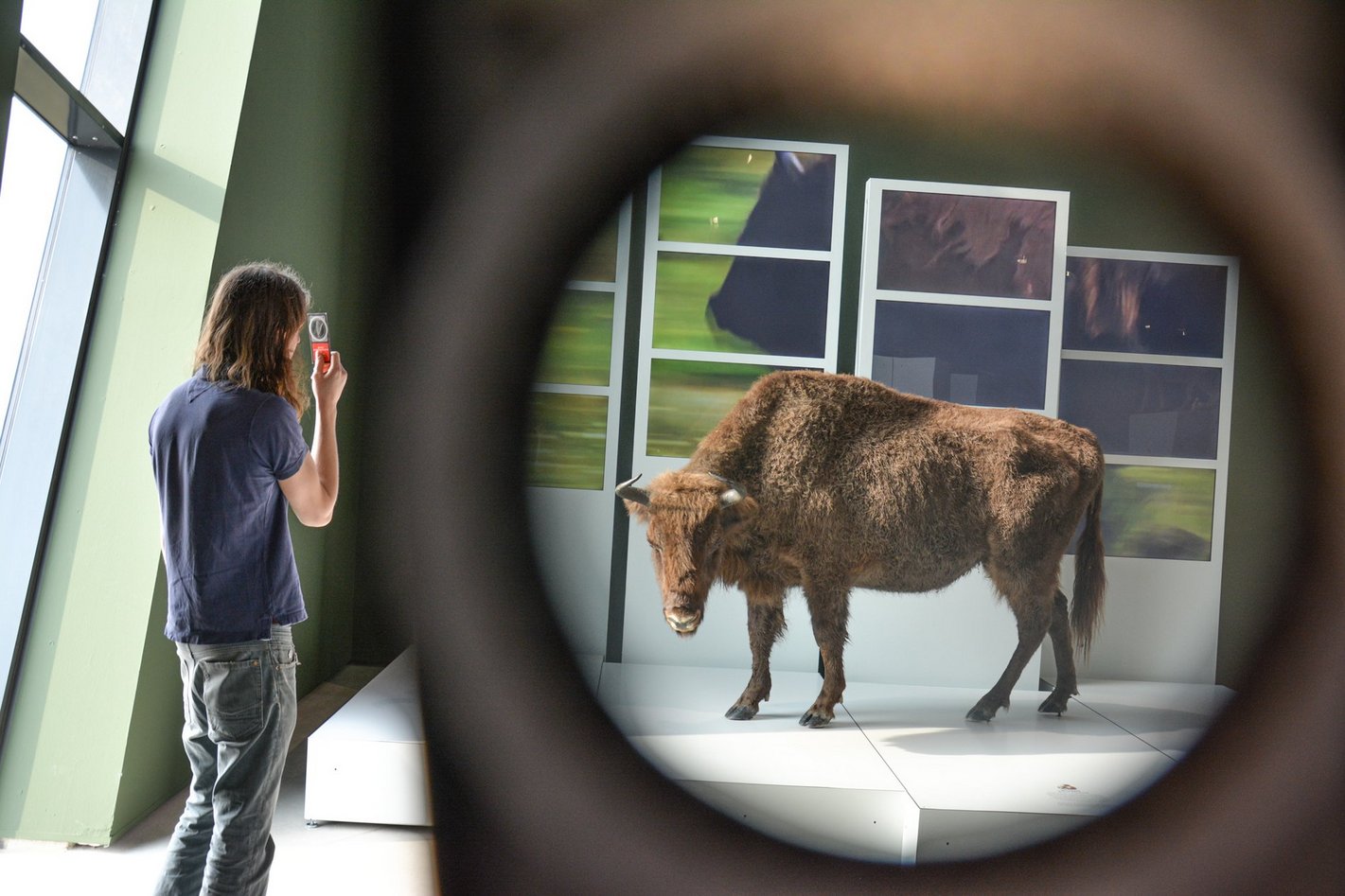 Sonderausstellung "Sielmann! Entdecke die Wildnis" vom 27.3. bis 3.10.2021 