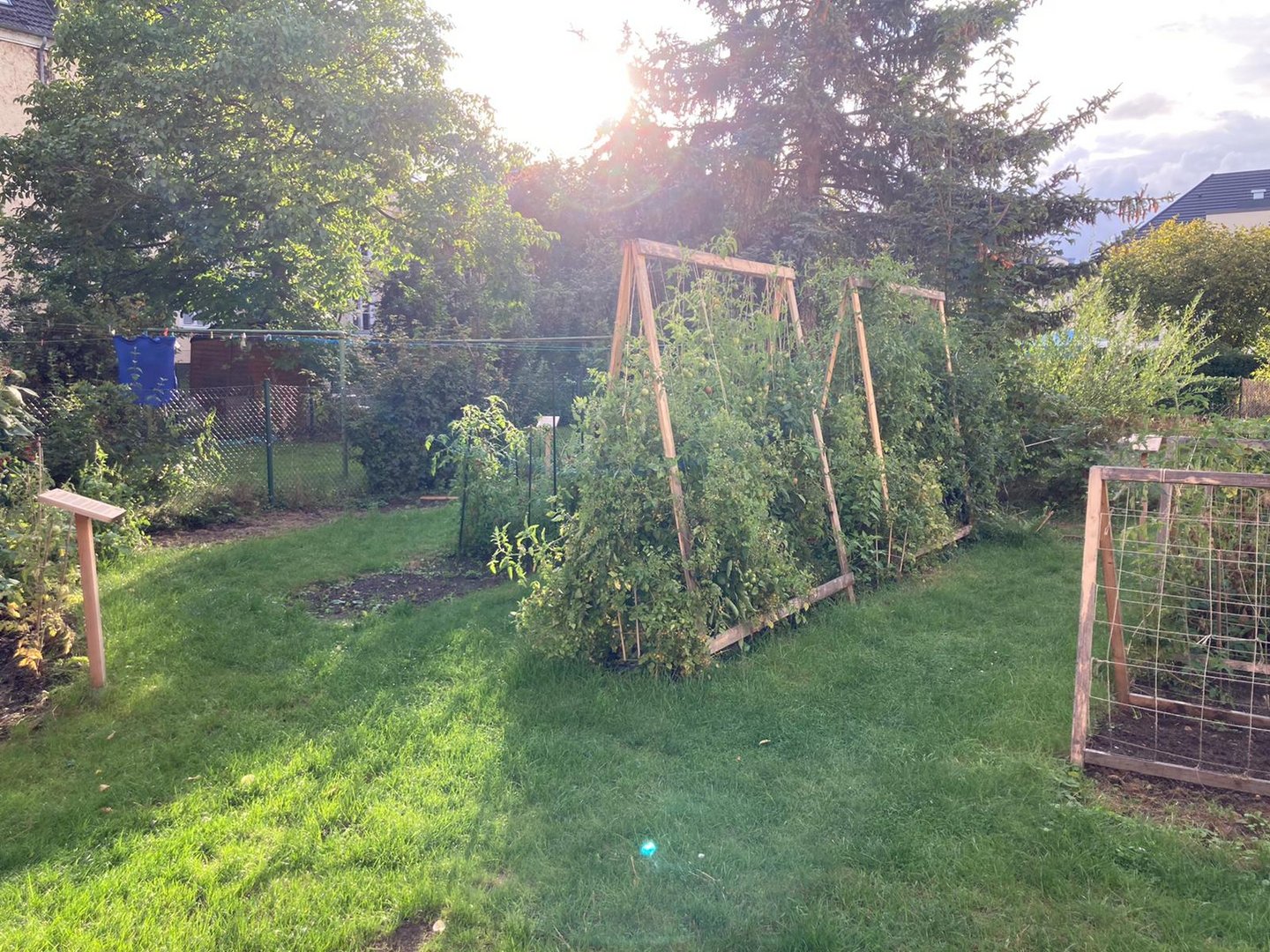 Nachhaltiger Gemüse-Anbau in Wolfsburg für einen kleineren ökologischen Fußabdruck.