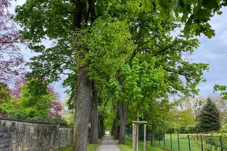 Pilgerweg Braunschweiger Jakobsweg